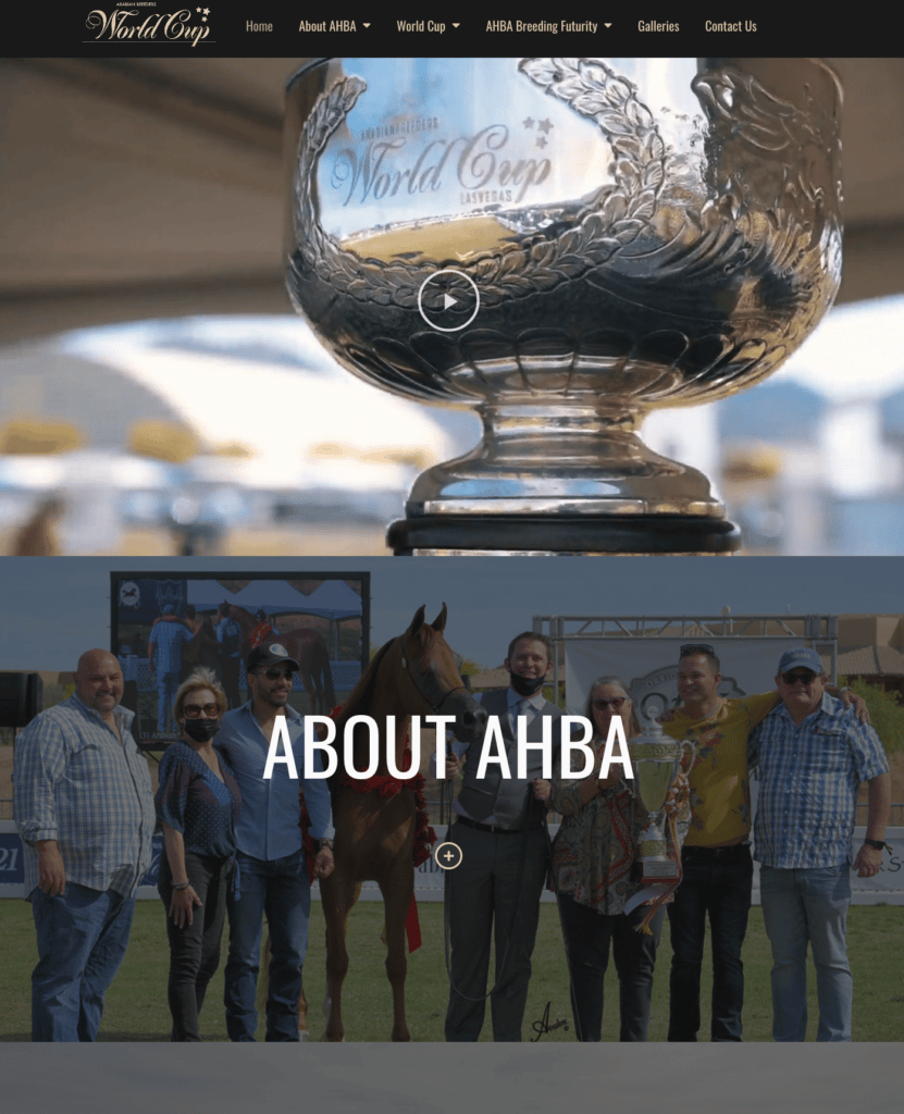 arabian breeders world cup website design